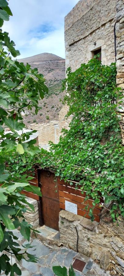 Villa Vathia Tower Of 1894 Esterno foto